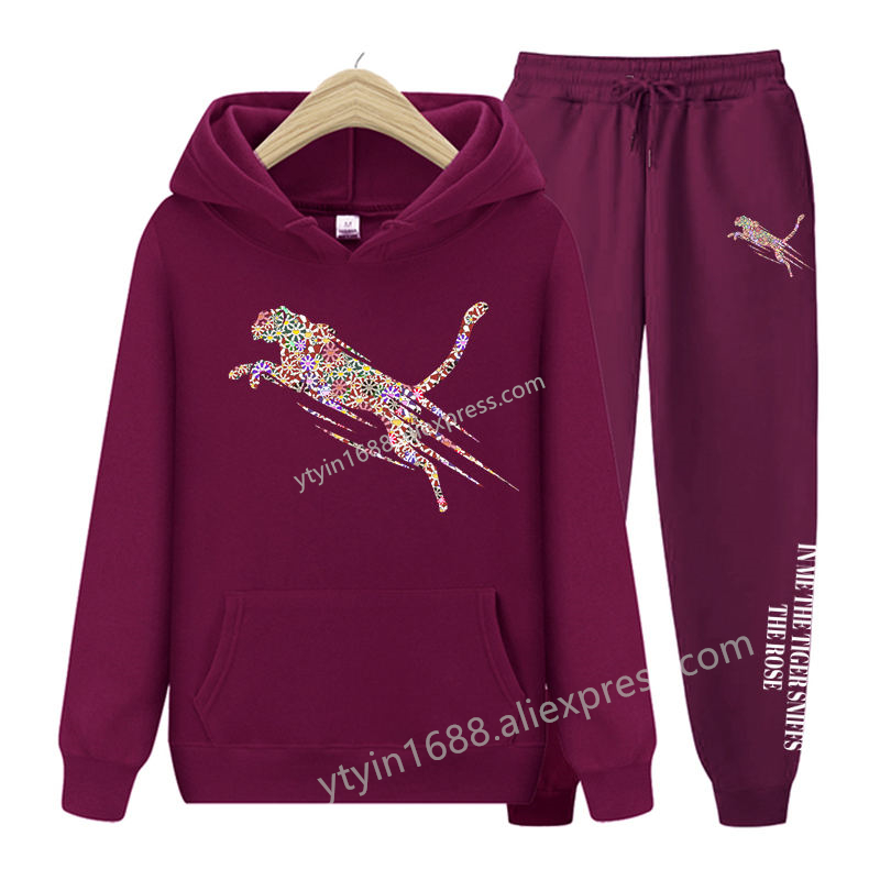 Womens TrackSuit  Aesthetic Sw - đánh giá và giá Street Fashion News